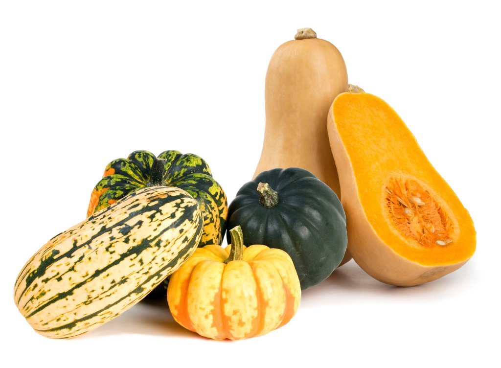 Acorn, Carnival, Delicata and Sweet Dumpling winter squashes