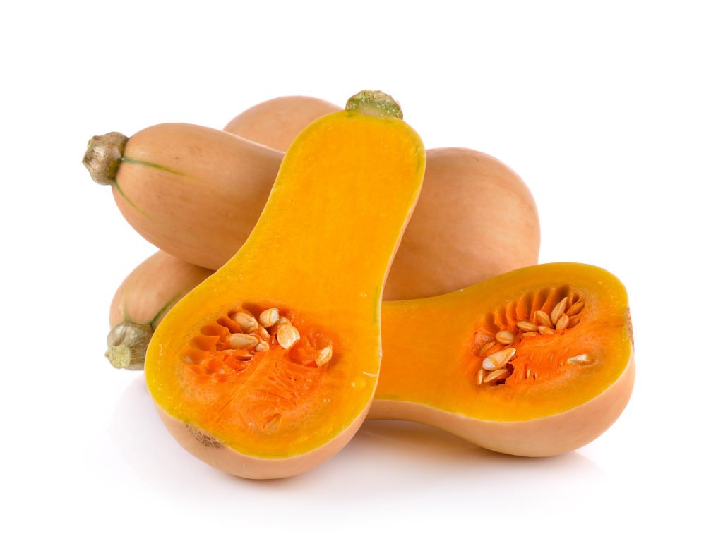 butternut squash on white background